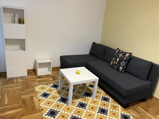 Njegoševa,manji renoviran stan,pet friendly ID#189