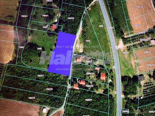 Sremski Karlovci, Banstol, zemljište 55 ari