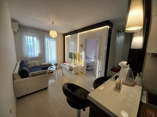 Jednoiposoban, namešten stan, Danila Kiša