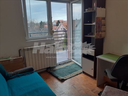 Soba u zasebnom stanu u Zemunu