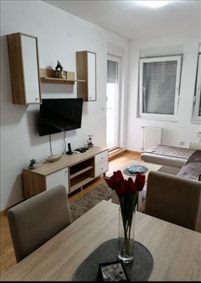 Dvosoban namešten stan-Kraljev Park,35m2-400e