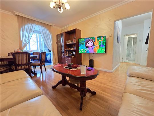 Porodičan stan sa pogledom na park, B.Kosa