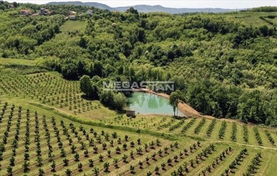 Blizu Aranđelovca, profitabilno poljoprivredno gaz