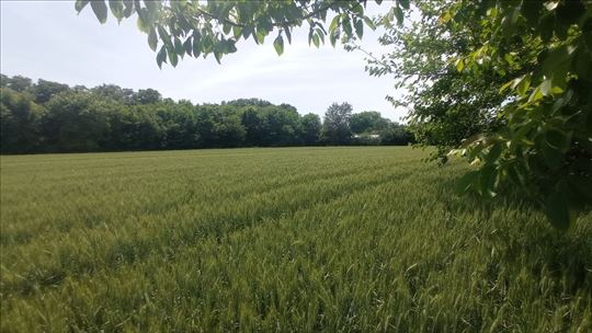 Plac 76 ari, Ratari, Obrenovac