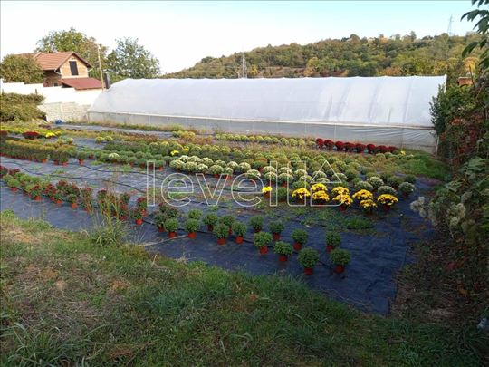 Plac,Sremska Kamenica,Čardak,kv: 2299.00, € 180000