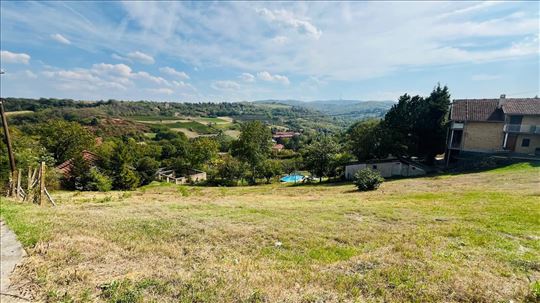 Plac,Sremska Kamenica,Sremska Kamenica,kv: 1258.00