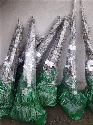 Vocne sadnice od proizvodjaca za 2026 