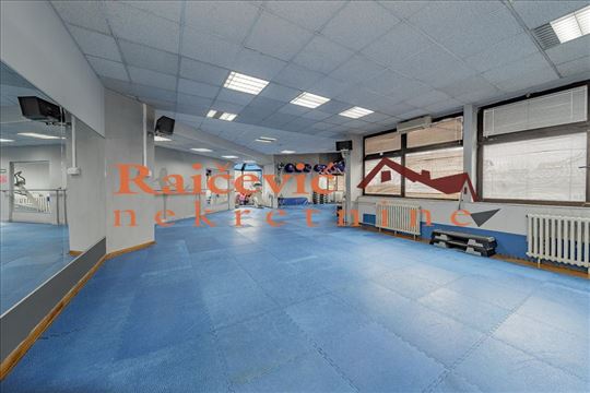 Banovo brdo, Pozeska, 6.0 PP od 273 m2