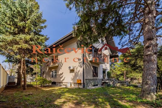 Kod Pinka, Dedinje, Vladimira Gacinovica, 400 m2