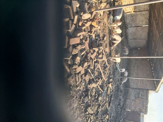 Prasici za klanje i dalje drzanje.