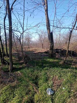 Ripanj Prnjavor prodaja