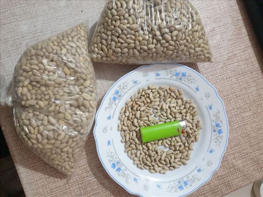 Sumporaš žuto-zeleni pasulj