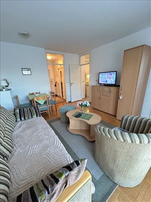 Izdavanje, Bulevar Despota Stefana 37m2 1.5