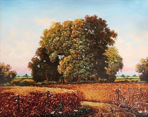 Dušan Vuković, Polje zrelog žita