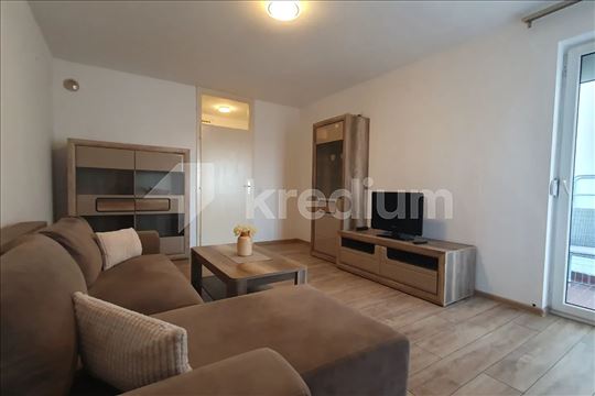 Dr Ivana Ribara - 08 - Novi Beograd