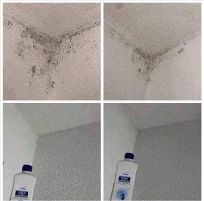 Pdp koncentrat protiv budji i za dezinfekciju