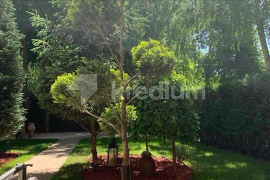 Peđe Milosavljevića - 01 - Novi Beograd