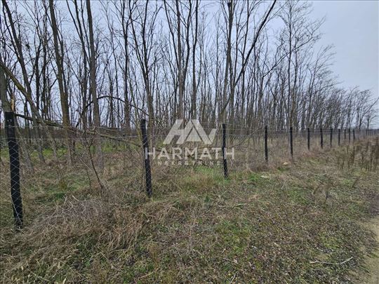 Prodaje se građevinsko zemljište 5948m2 - Subotica