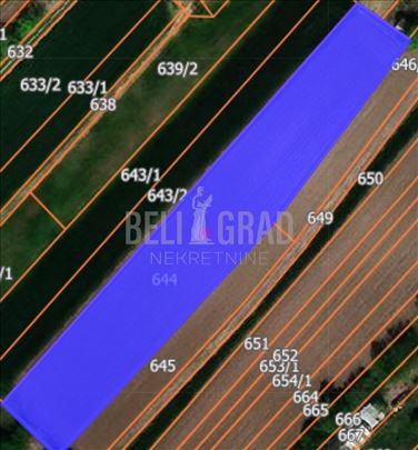 Vinogradi, Batajnica 26a