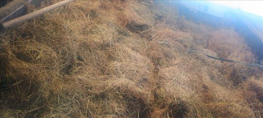 Seno livada 350 komada