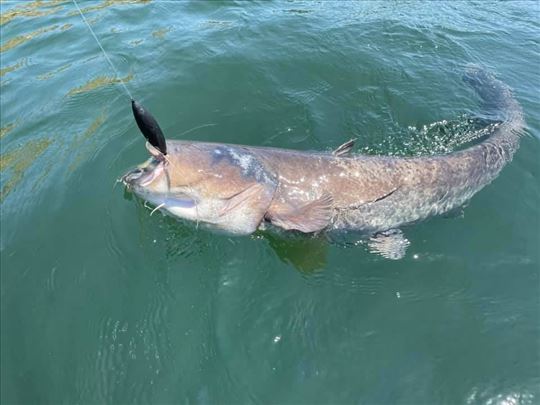 Sisteme za Soma i Stuku mod 8