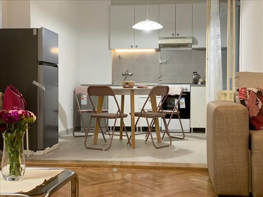 Vračar, komforan, opremljen, ID 14136