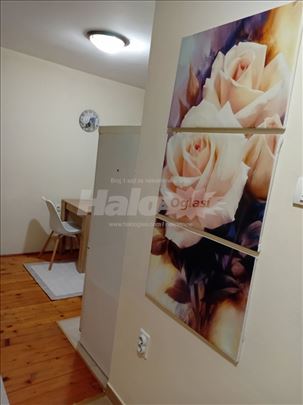 Izdajem 2.0 namešten stan.