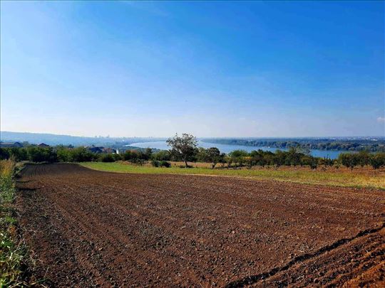 Višnjica, 41 ar, uknjižen