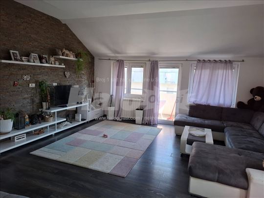 Zemun Altina 245m2 5ari plac lux