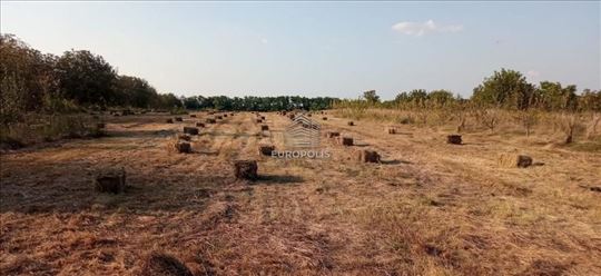 Bečmen, Surčin ID#8906