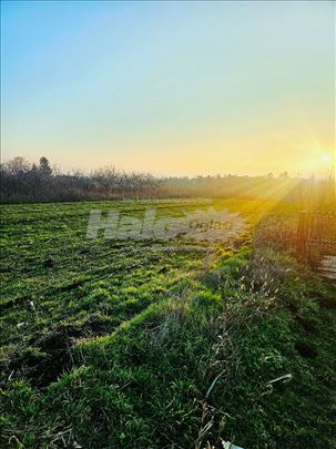 Stiže prolece,vreme je