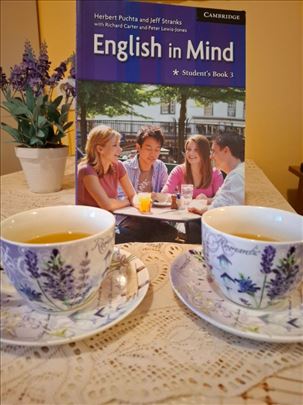 Časovi engleskog - uživo - privatni časovi