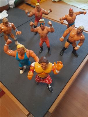 Titan sport WWF hasbro figure
