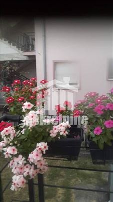 Zemun, Slaviše Vajnera, odličan uknjižen stan ID#1