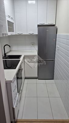 2.5 Zemun - Rade Končara 38m2+T2m2 parking 550EUR