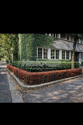 Blok 45 Nehruova, Savski kej, stan sa baštom