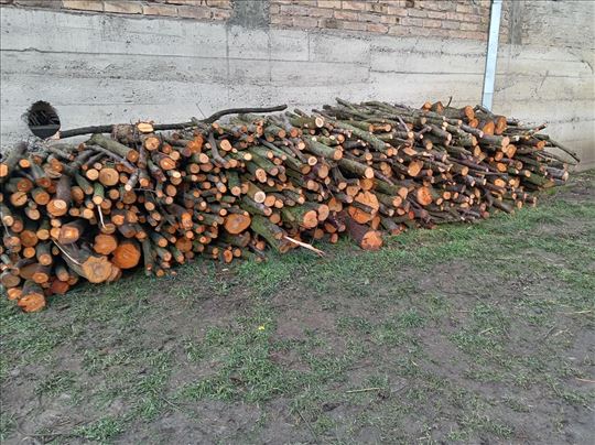 Tvrda drva divlje šljive 5m cena po dogovoru