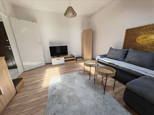 Borča 4-jednosoban, namešten 