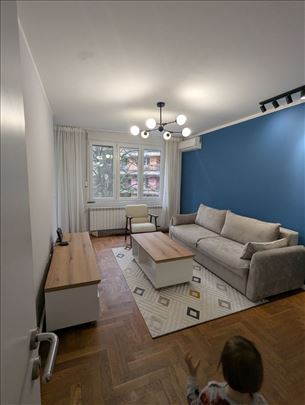 Lion, renoviran, funkcionalan, ID 25251