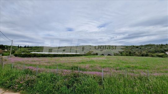 Prodajem plac u Ulcinju, Darza