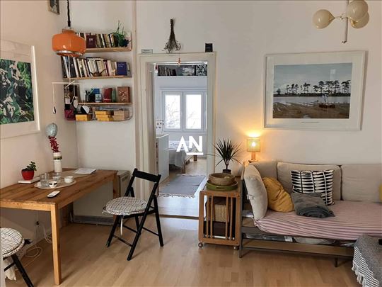 Vračar, Južni bulevar, Cerska, renoviran, šarmanta