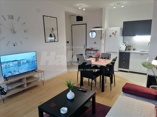 Zemun Hercegovacka ulica, nov 1.5 42m2, namešten