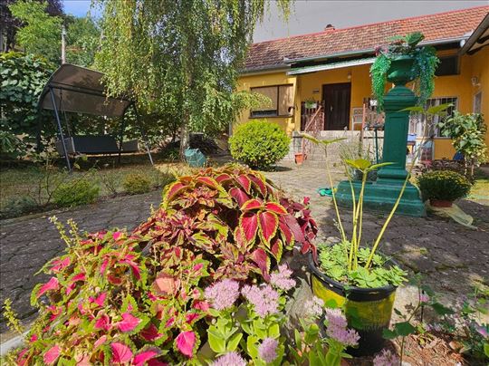 Odlična kuća na Fruškoj gori, VRDNIK