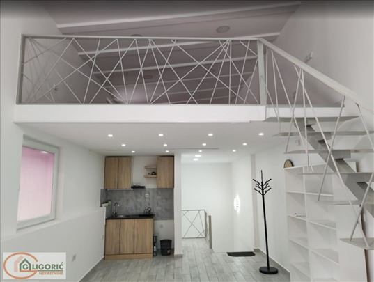 Profesorska kolonija-Unikatan stan na 3 nivoa