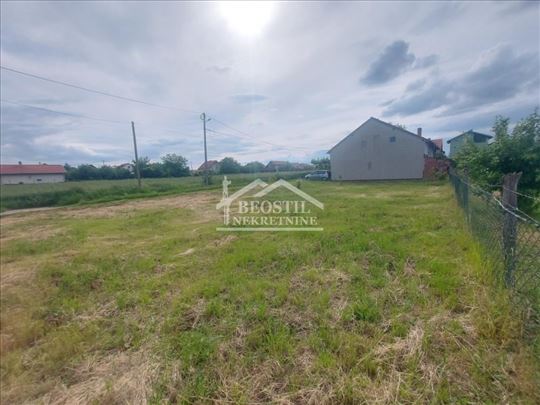 Smederevo - Carina - 4,66ari ID#24258