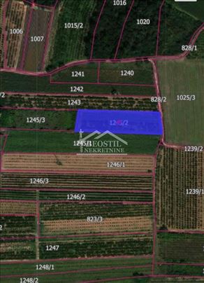 Smederevo - Landol - 30,43ara ID#23819