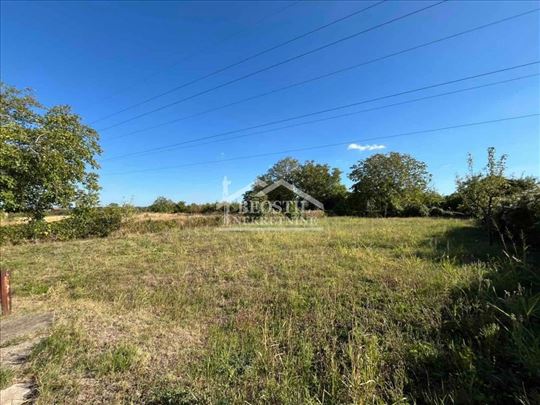 Smederevo - Leštar - 10a ID#24524