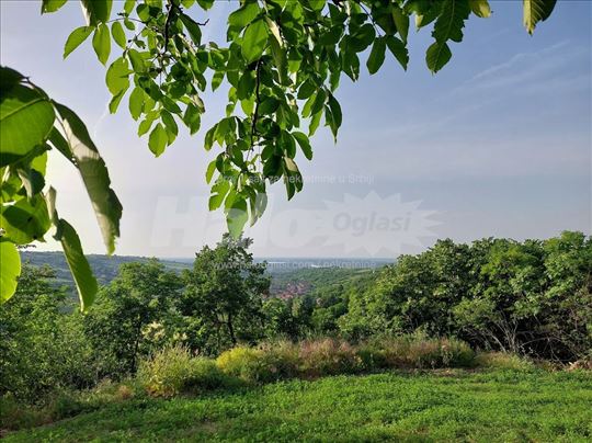 1.12 ha  Pogled na Dunav,  Osunčan, Turizam, Mir 