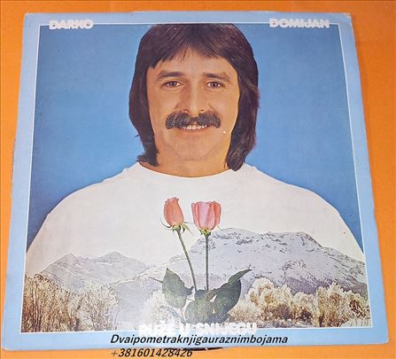 Darko Domijan   Ruže U Snijegu