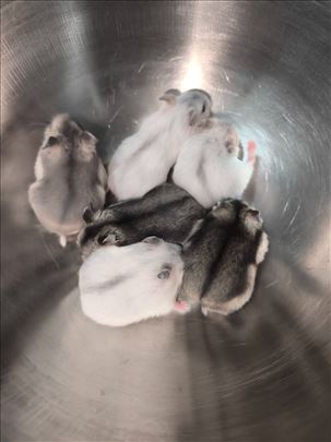 Leminzi - idealni za malu decu